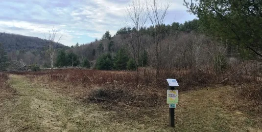 Little River & Cottonbrook Trail head
