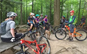 Mountain bikers chatting on a forest path